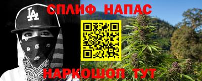 прущие грибы Нягань