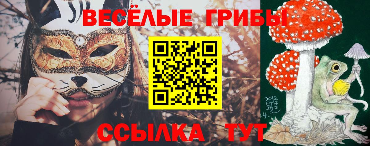 Галлюциногенные грибы мухоморы  Псилоцибиновые грибы Psilocybe  Тайшет  Вход с VPN 