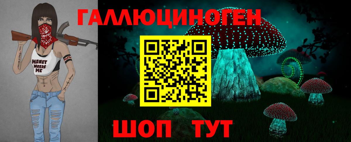 Псилоцибиновые грибы Psilocybine cubensis Тайшет